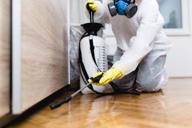 Best Best Pest Control Companies  in Rio Del Mar, CA