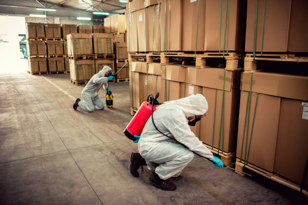 Best Emergency Pest Control  in Rio Del Mar, CA