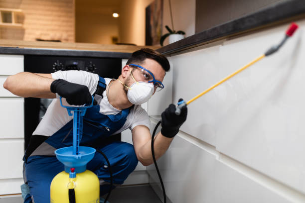 Best Local Pest Control Services  in Rio Del Mar, CA