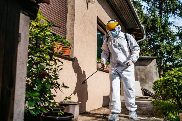Best Residential Pest Control  in Rio Del Mar, CA