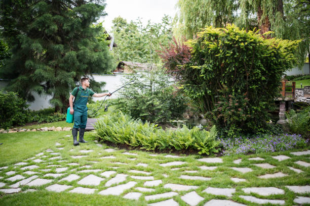  Rio Del Mar, CA Pest Control Pros