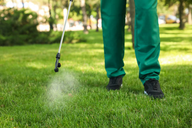 Reliable Rio Del Mar, CA Pest Control Solutions