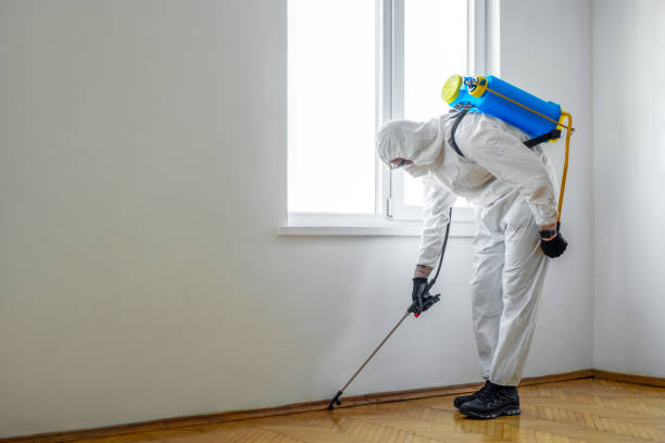 Best Best Pest Control Companies  in Rio Del Mar, CA