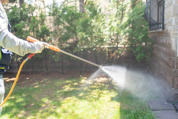 Best Pest Removal Services  in Rio Del Mar, CA