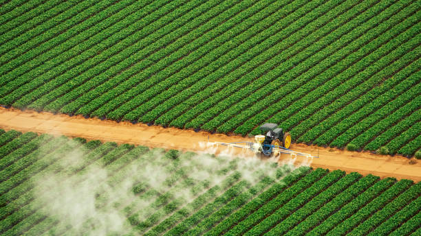 Reliable Rio Del Mar, CA Pest Control Solutions