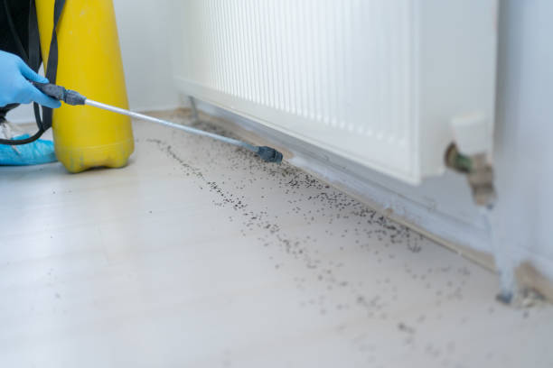 Pest Prevention Services in Rio Del Mar, CA