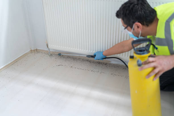 Best Exterminator Services  in Rio Del Mar, CA